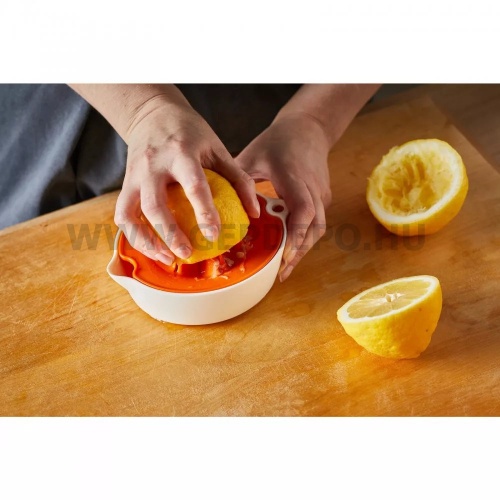 Fiskars Functional Form gyümölcsfacsaró