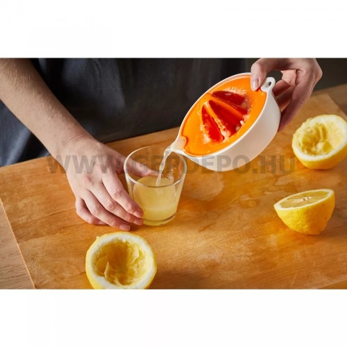 Fiskars Functional Form gyümölcsfacsaró