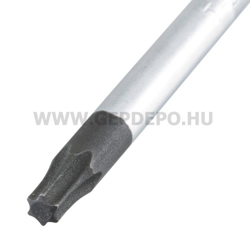 Makita torx csavarhúzó - T20 x 100 mm
