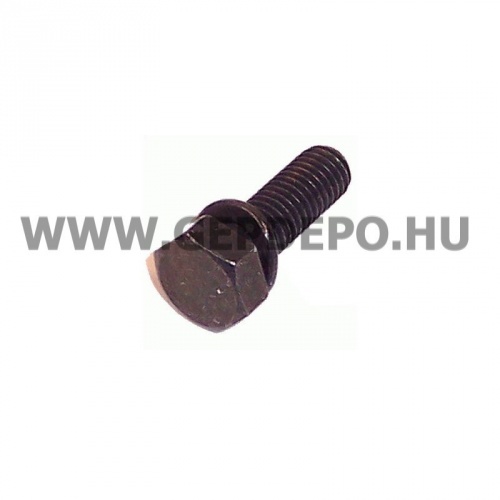 Csavar 8x195