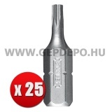 Stanley Torx bit T25