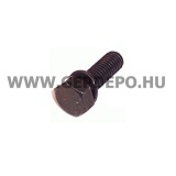 Hatlapfejű csavar M8x25 921441