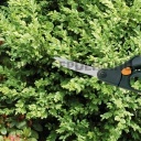 Fiskars S50 fűnyíró olló