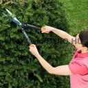 Fiskars fogaskerekes sövénynyíró olló PowerGear II