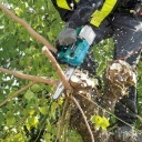 Makita DUC254RT akkus láncfűrész 18V LXT BL XPT