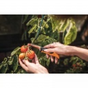Fiskars X-series™ összecsukható betakarító kés K80