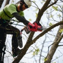 Milwaukee M18 FHS20-0 akkus láncfűrész 20 cm géptest