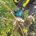 Makita DUC254CZ akkus láncfűrész géptest Carving lappal