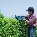 Makita UH6580 elektromos sövényvágó