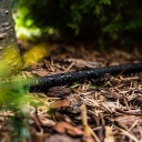 NEO Csepegtető tömlő 15m, 1/2", 8bar, állítható vízmennyiség