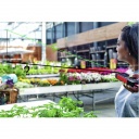 Leica DISTO D2G-2 lézeres távolságmérő