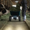 Makita DCU605Z akkus anyagmozgató talicska tartály felépítménnyel 300 kg 2x18V LXT BL XPT